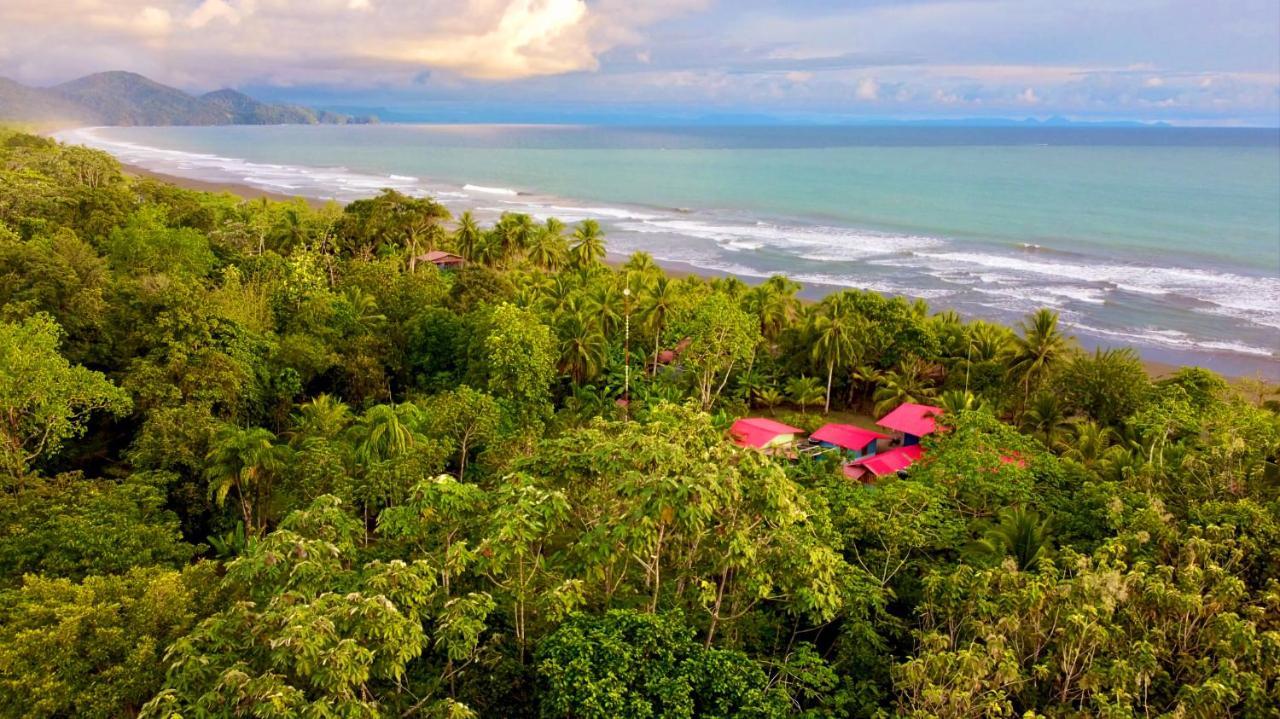 Tortuga Bay Eco Hotel El Valle  Eksteriør bilde