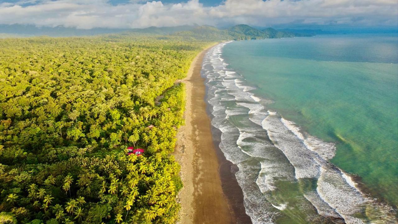 Tortuga Bay Eco Hotel El Valle  Eksteriør bilde