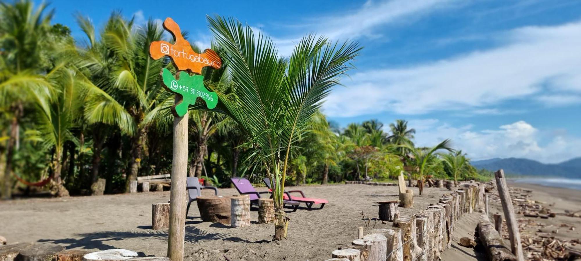 Tortuga Bay Eco Hotel El Valle  Eksteriør bilde