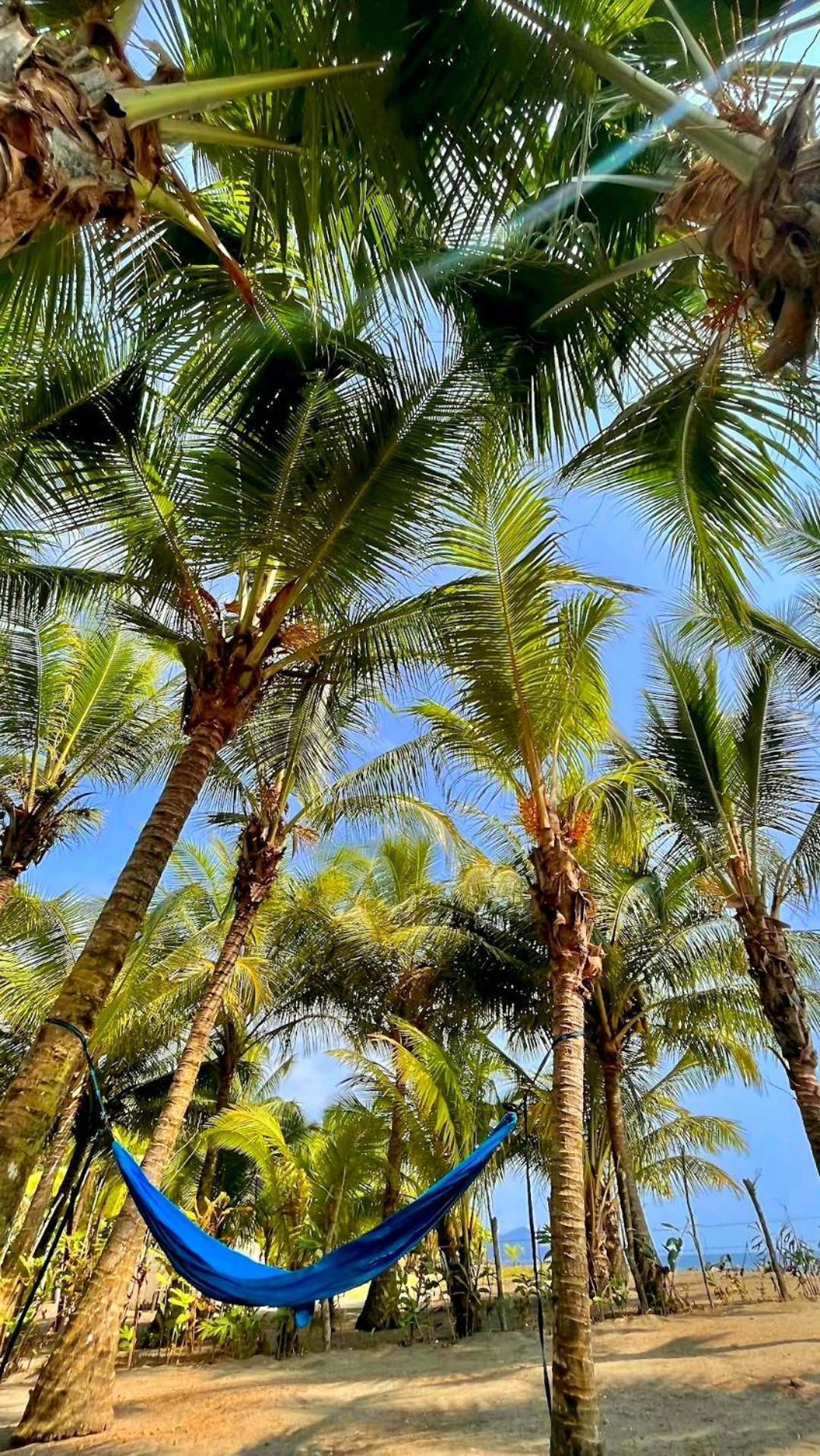 Tortuga Bay Eco Hotel El Valle  Eksteriør bilde