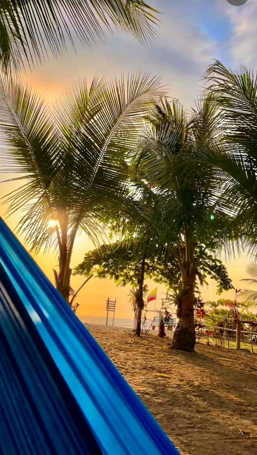 Tortuga Bay Eco Hotel El Valle  Eksteriør bilde