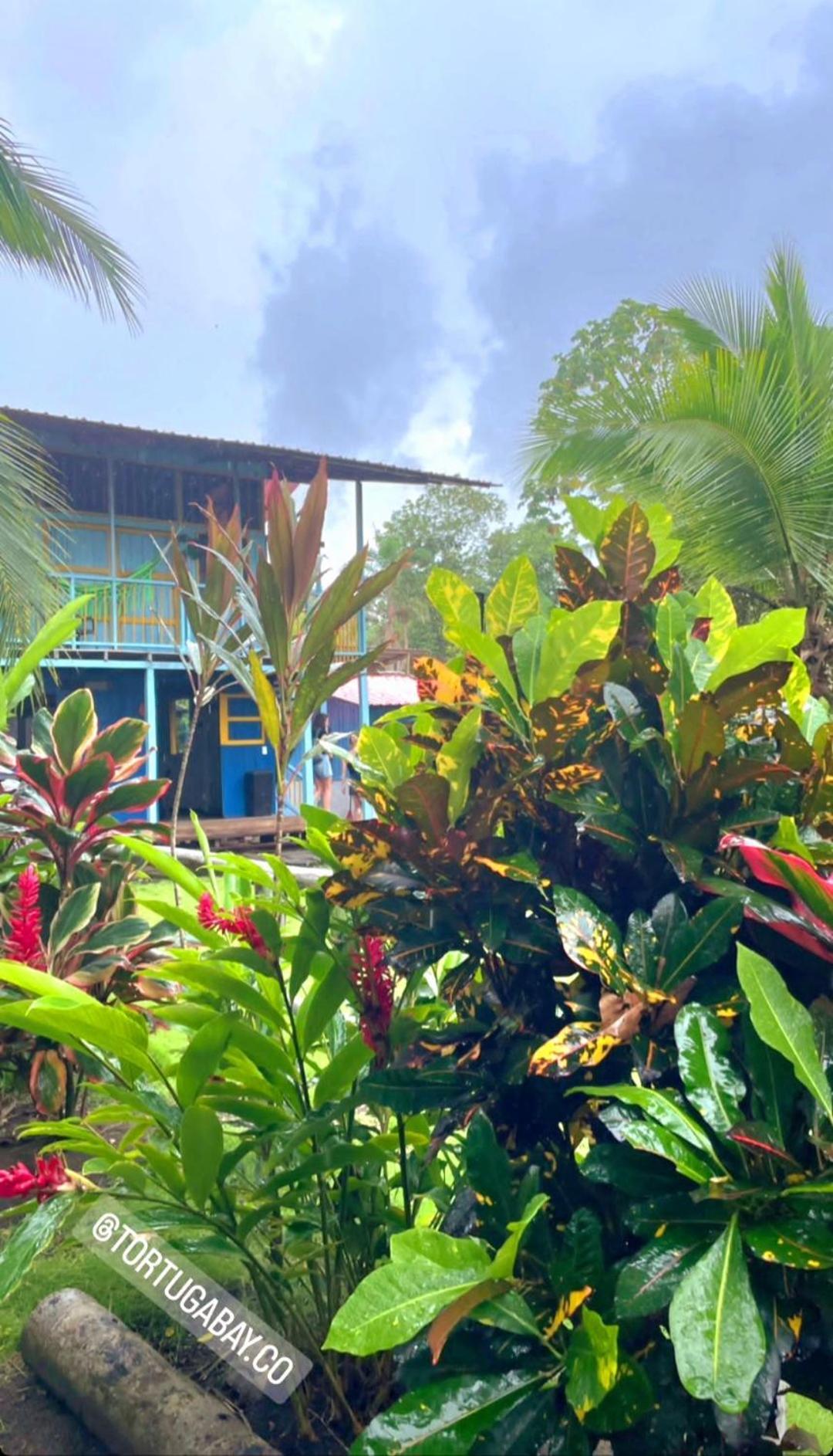 Tortuga Bay Eco Hotel El Valle  Eksteriør bilde