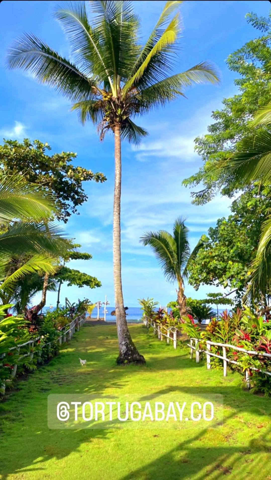 Tortuga Bay Eco Hotel El Valle  Eksteriør bilde